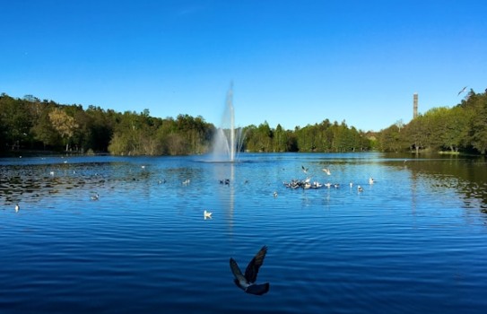 Sundbyberg park